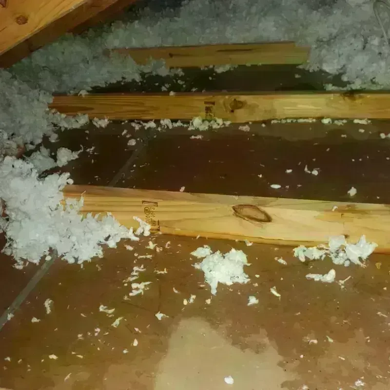 Attic Water Damage in Wacousta, MI