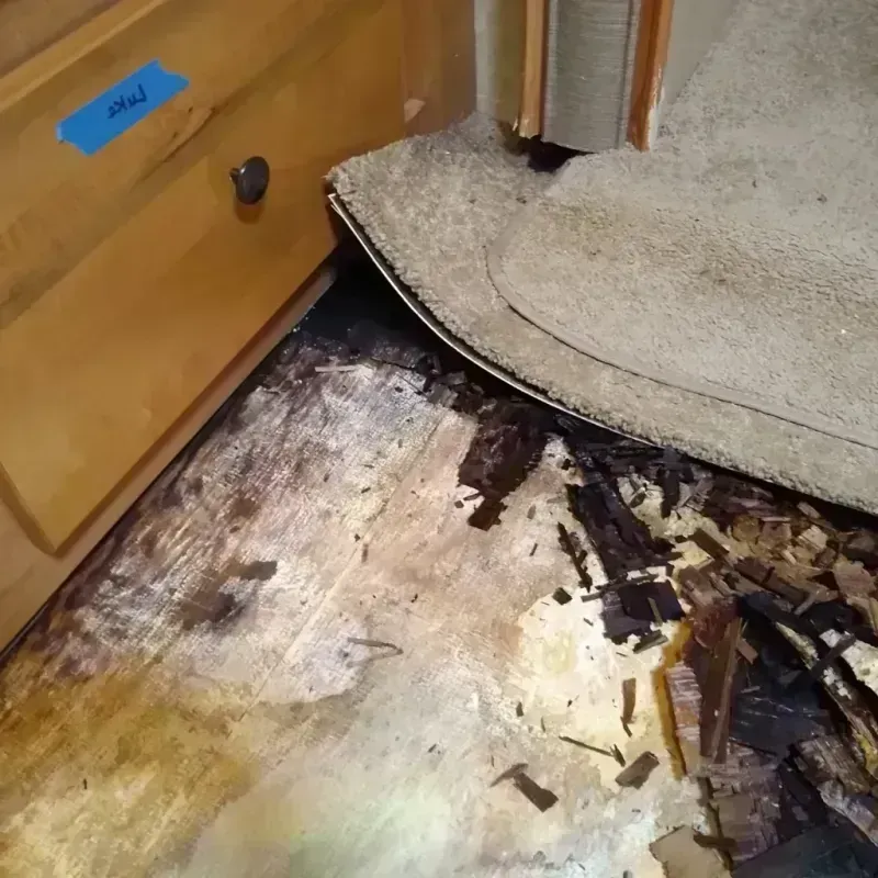 Wood Floor Water Damage in Wacousta, MI